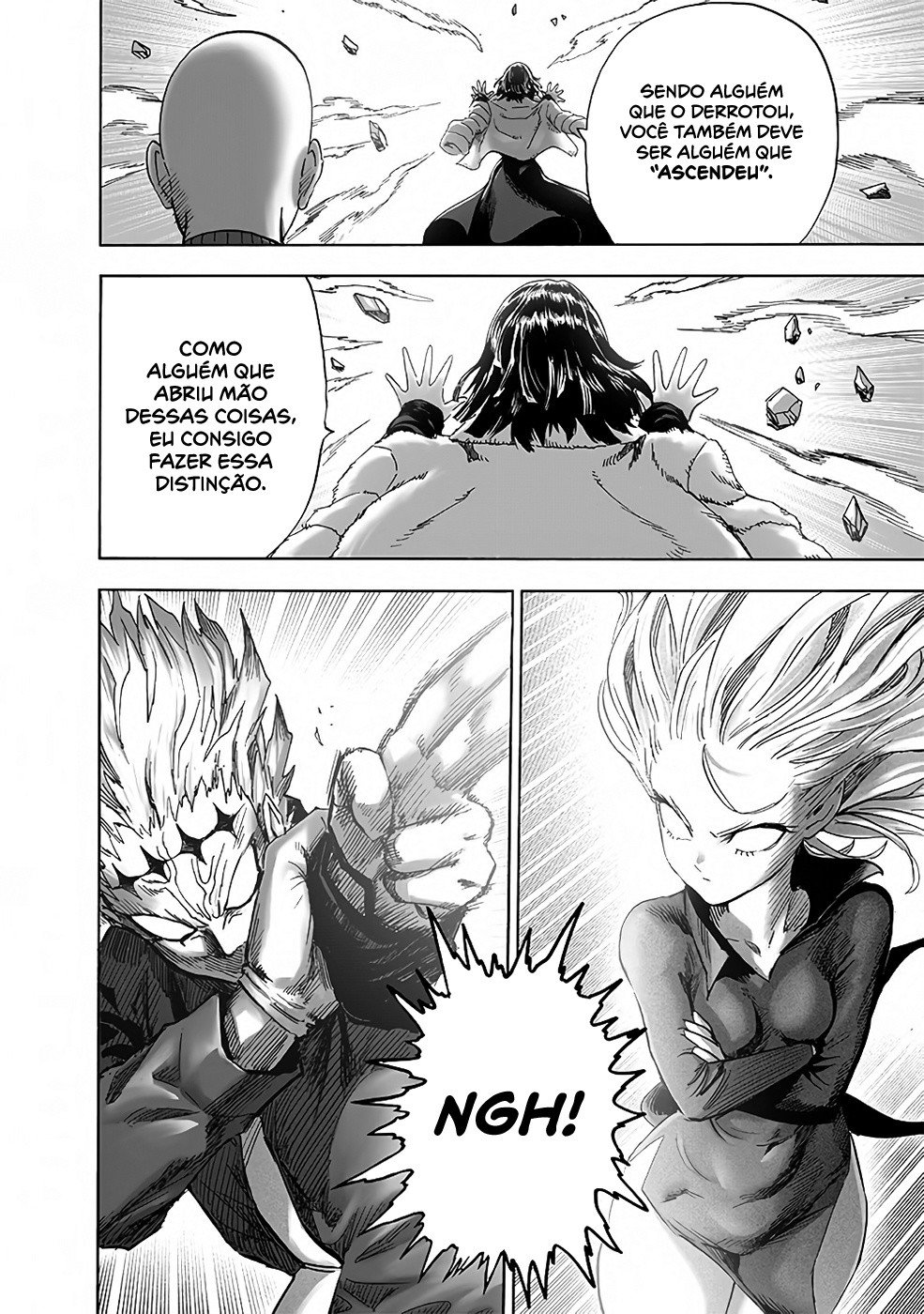 Read One Punch Man (pt) Manga Online