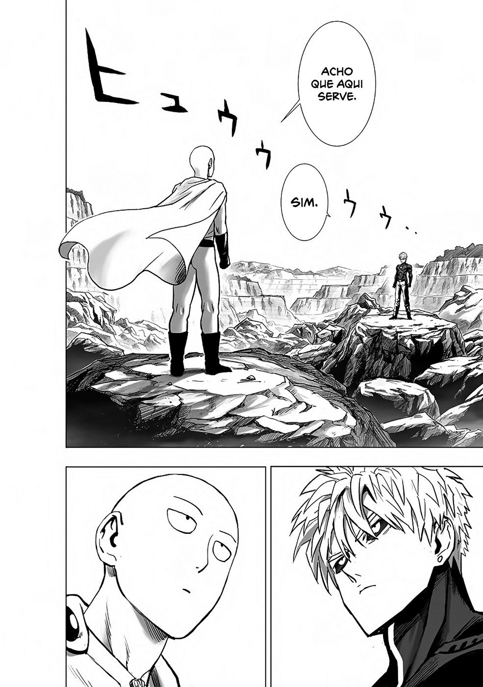 Read One Punch Man (pt) Manga Online