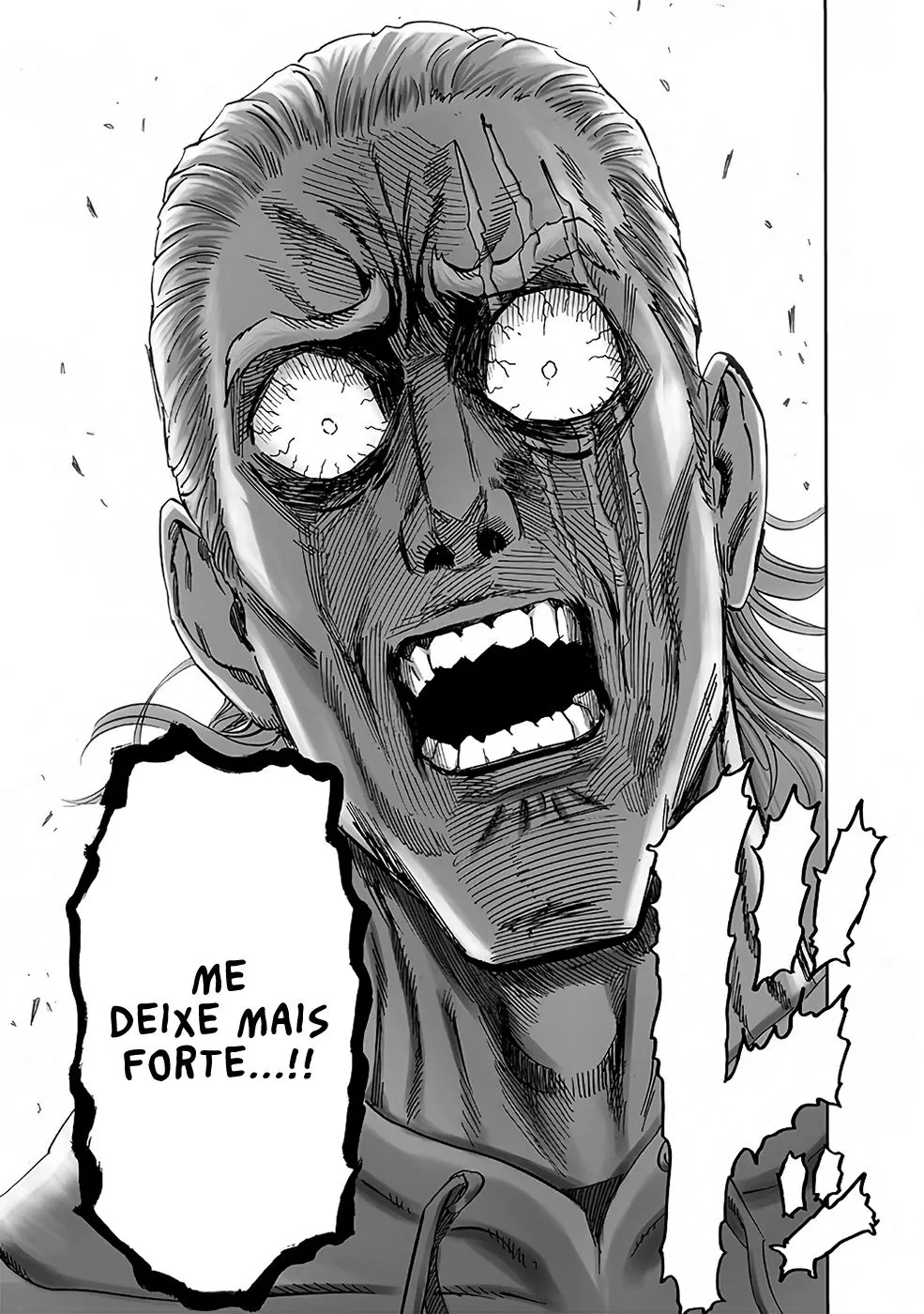 Read One Punch Man (pt) Manga Online