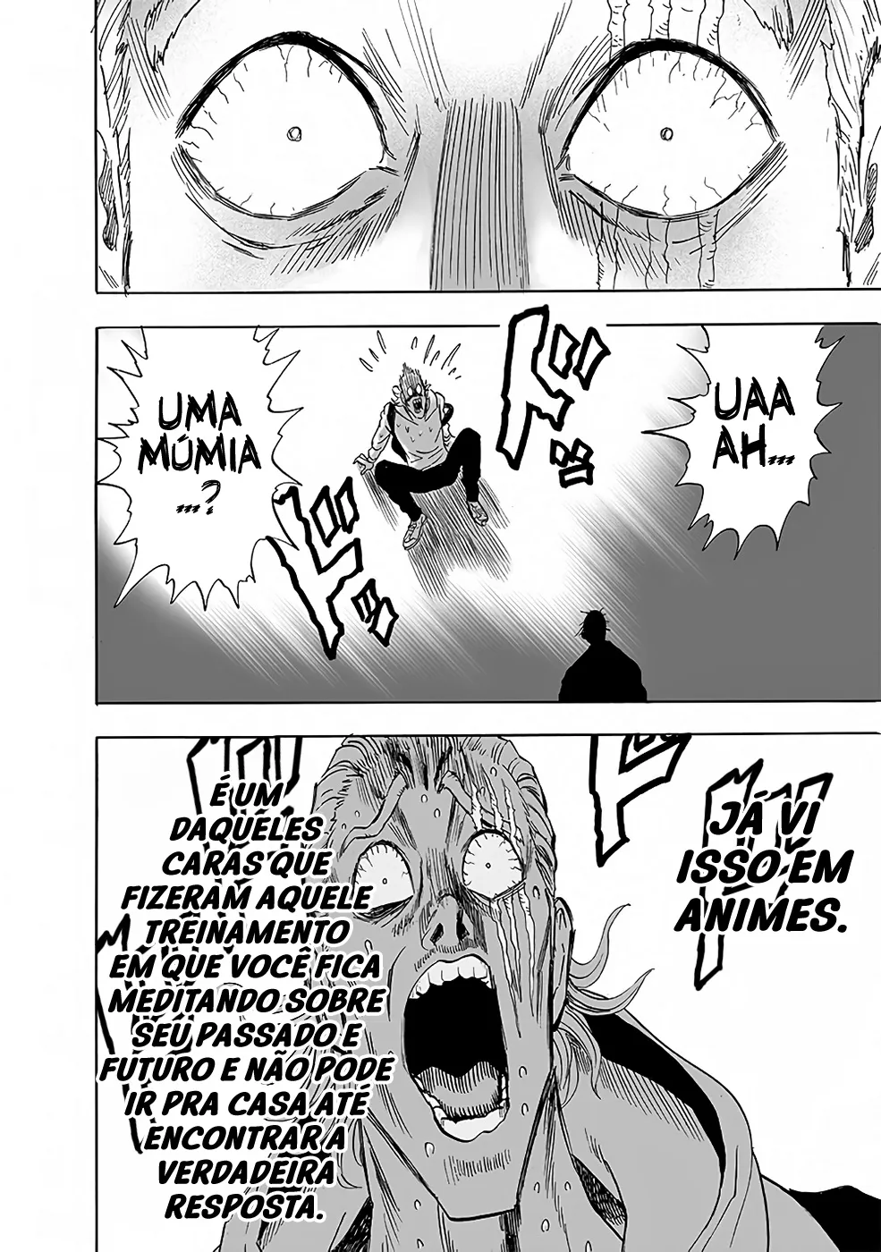 Read One Punch Man (pt) Manga Online