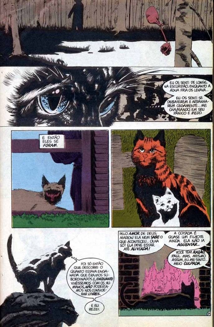 Read Sandman (pt) Manga Online