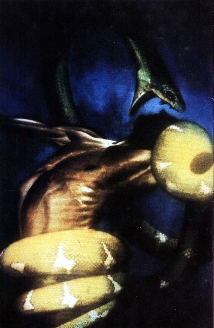 Read Sandman (pt) Manga Online