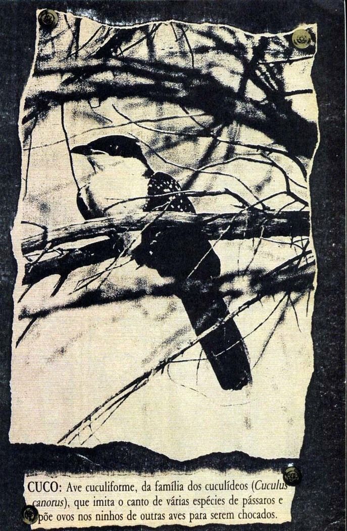 Read Sandman (pt) Manga Online