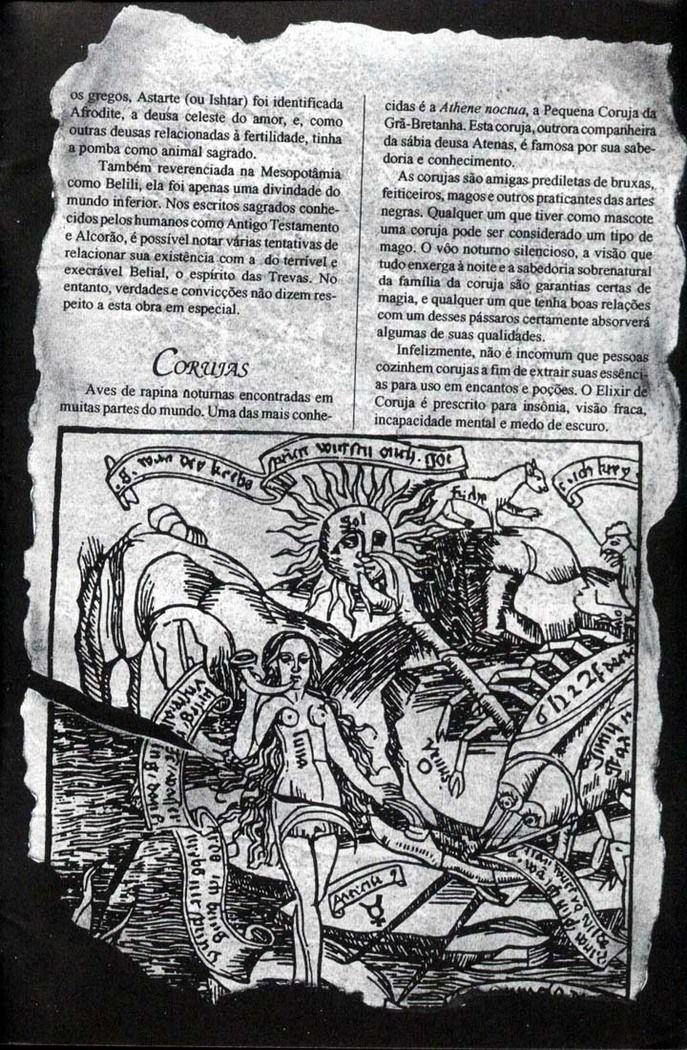 Read Sandman (pt) Manga Online