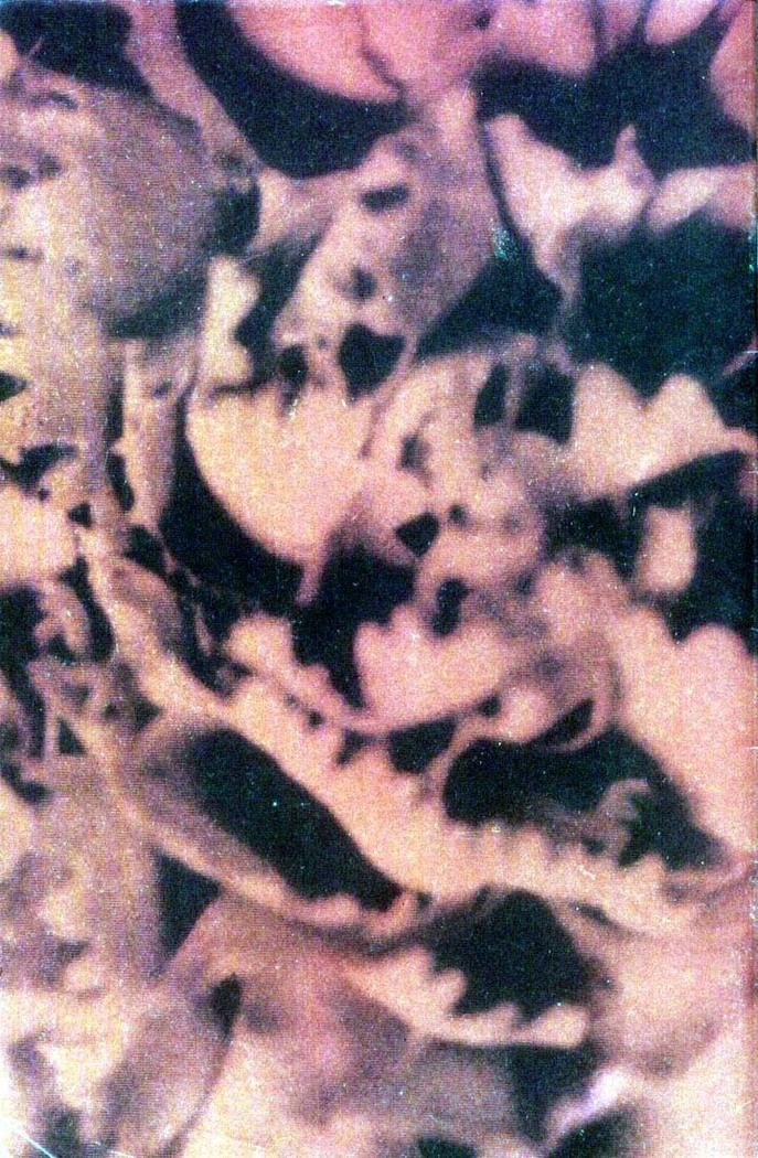 Read Sandman (pt) Manga Online