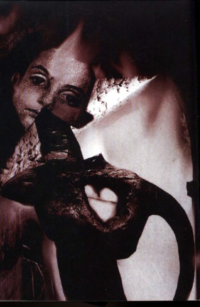 Read Sandman (pt) Manga Online