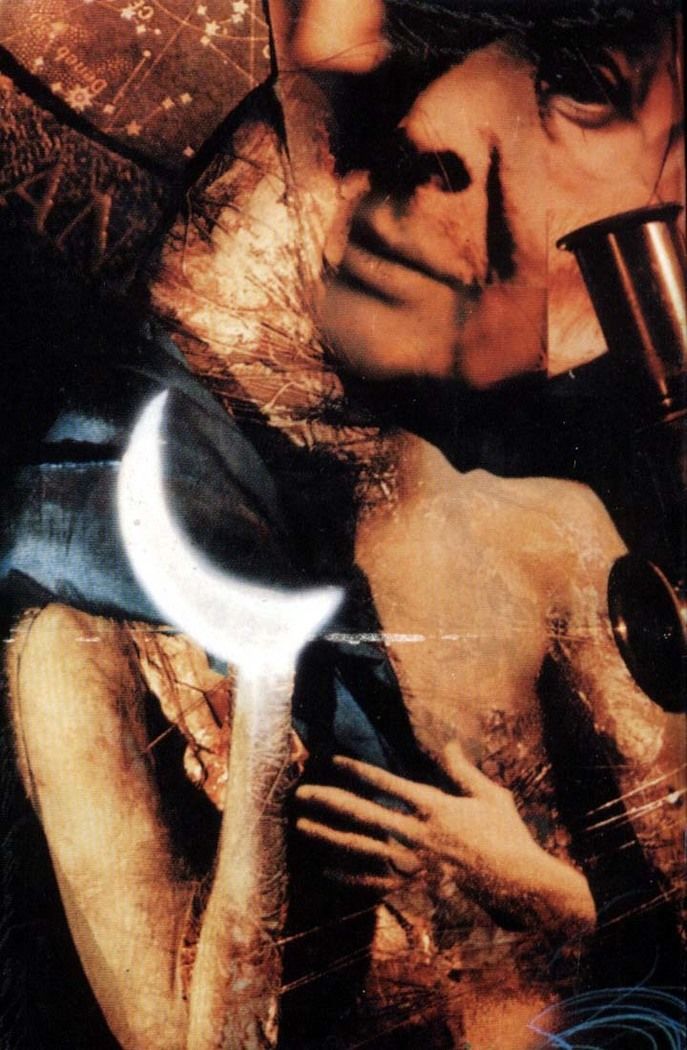 Read Sandman (pt) Manga Online