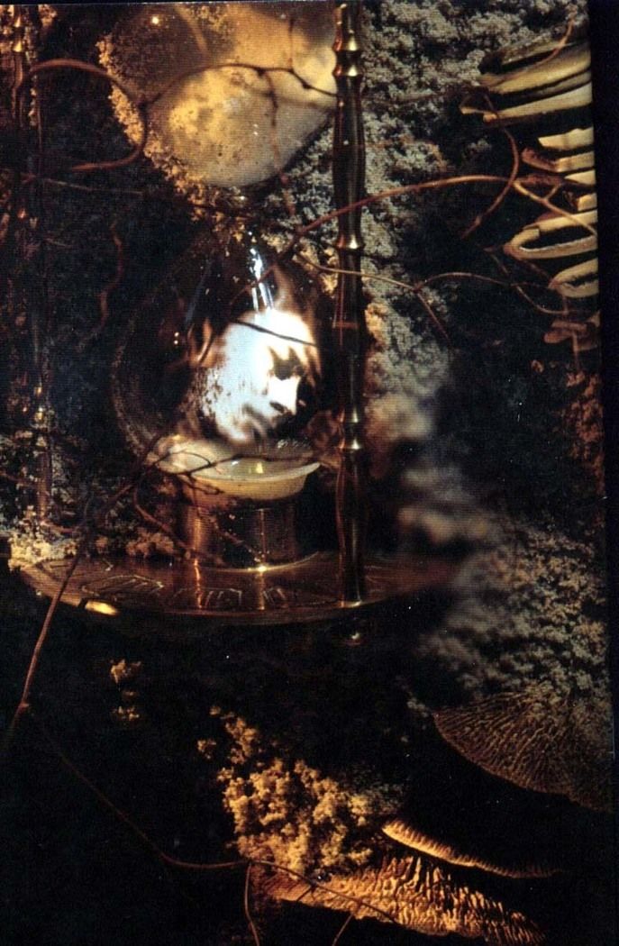 Read Sandman (pt) Manga Online