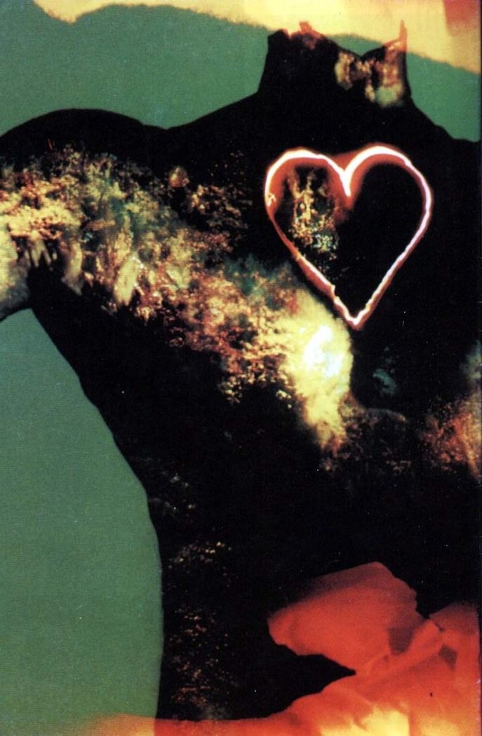 Read Sandman (pt) Manga Online