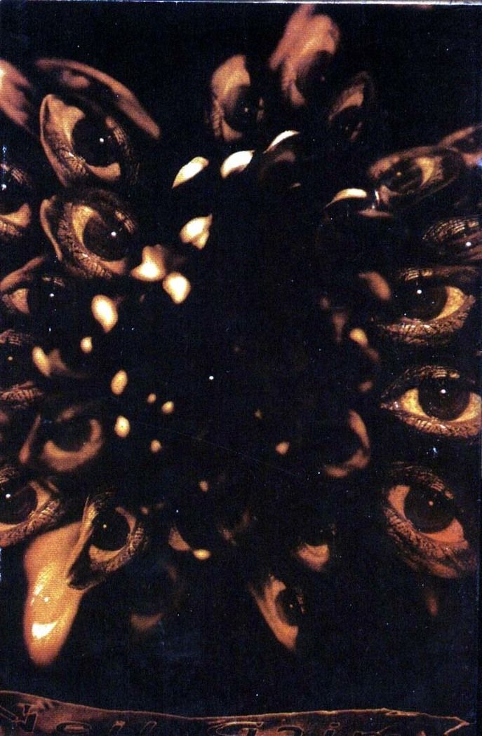 Read Sandman (pt) Manga Online