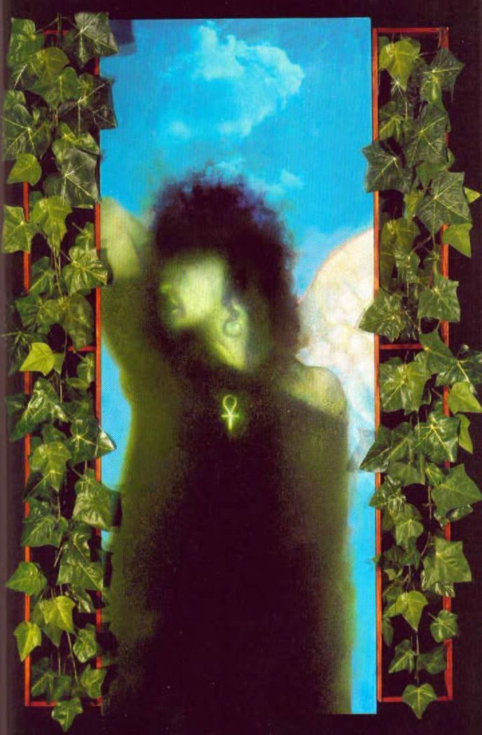 Read Sandman (pt) Manga Online