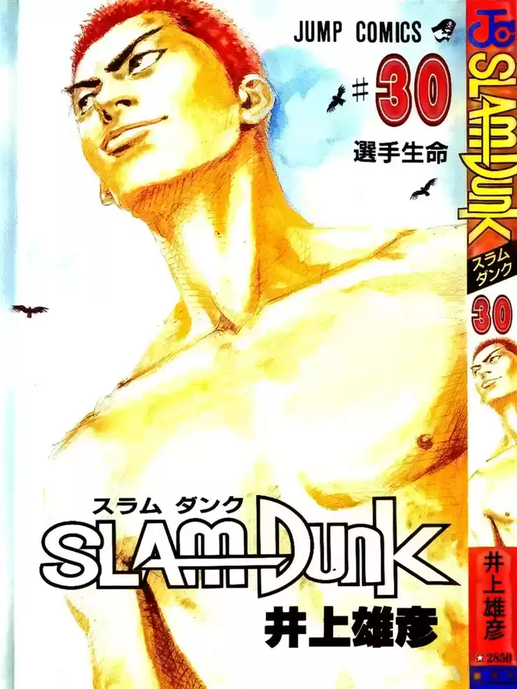 Read Slam Dunk (pt) Manga Online