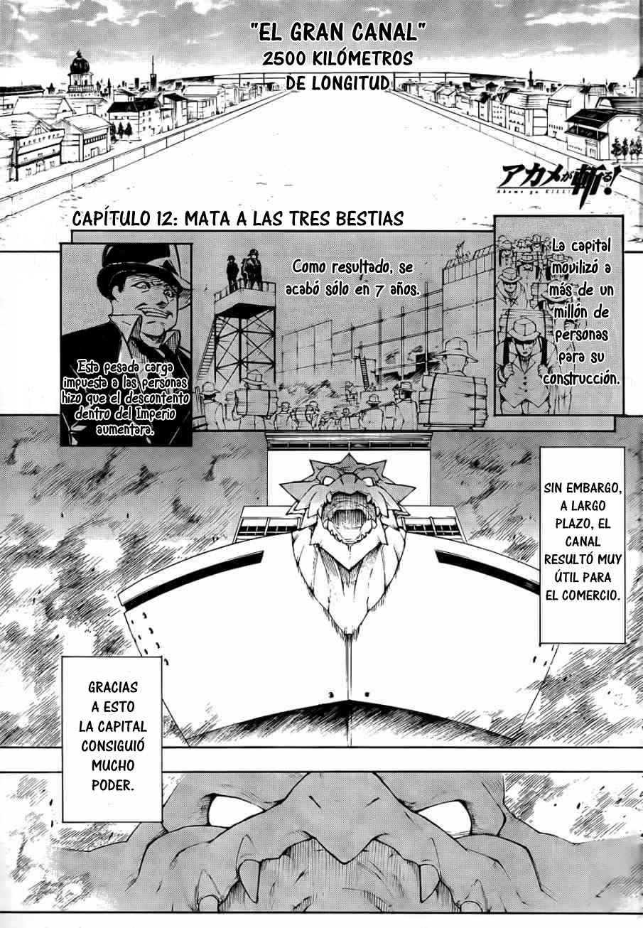 Read Akame ga Kill! (es) Manga Online