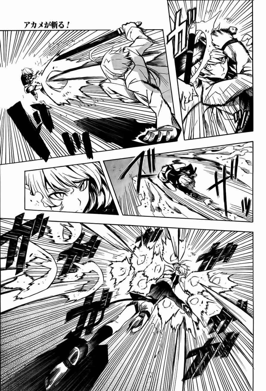 Read Akame ga Kill! (es) Manga Online