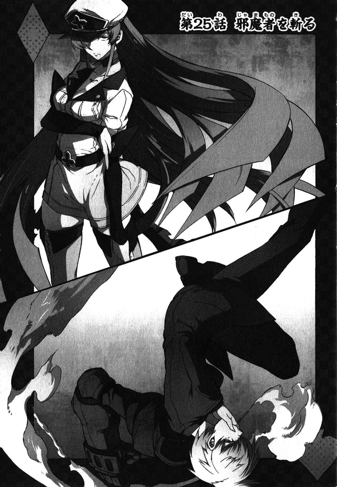 Read Akame ga Kill! (es) Manga Online