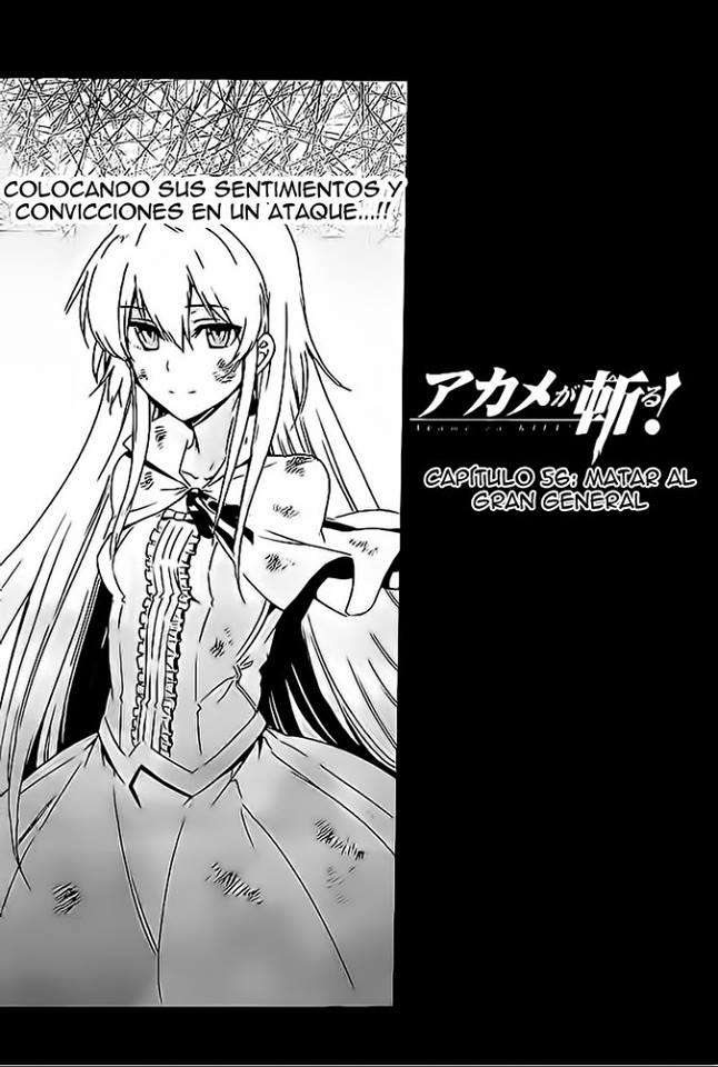 Read Akame ga Kill! (es) Manga Online