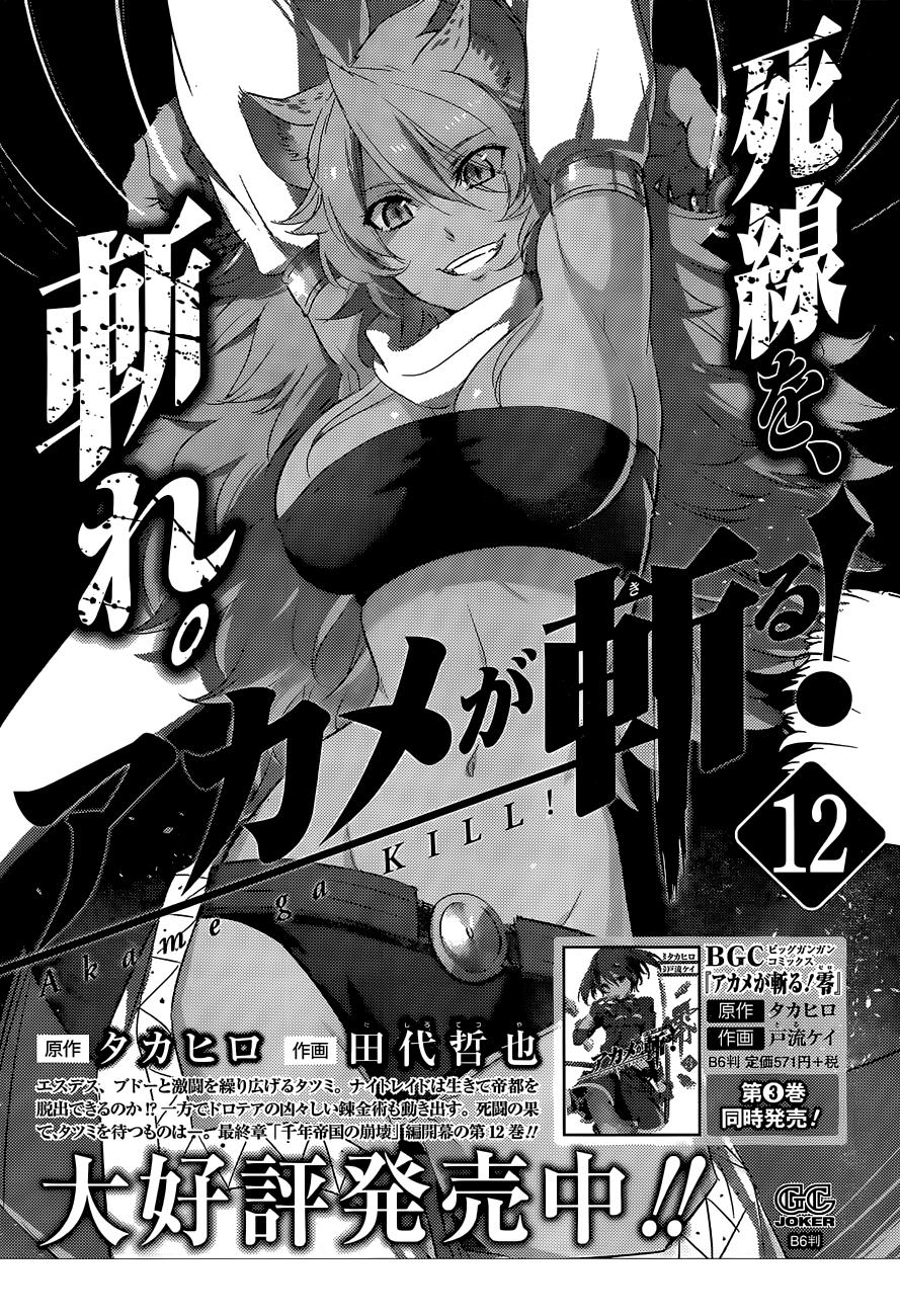 Read Akame ga Kill! (es) Manga Online