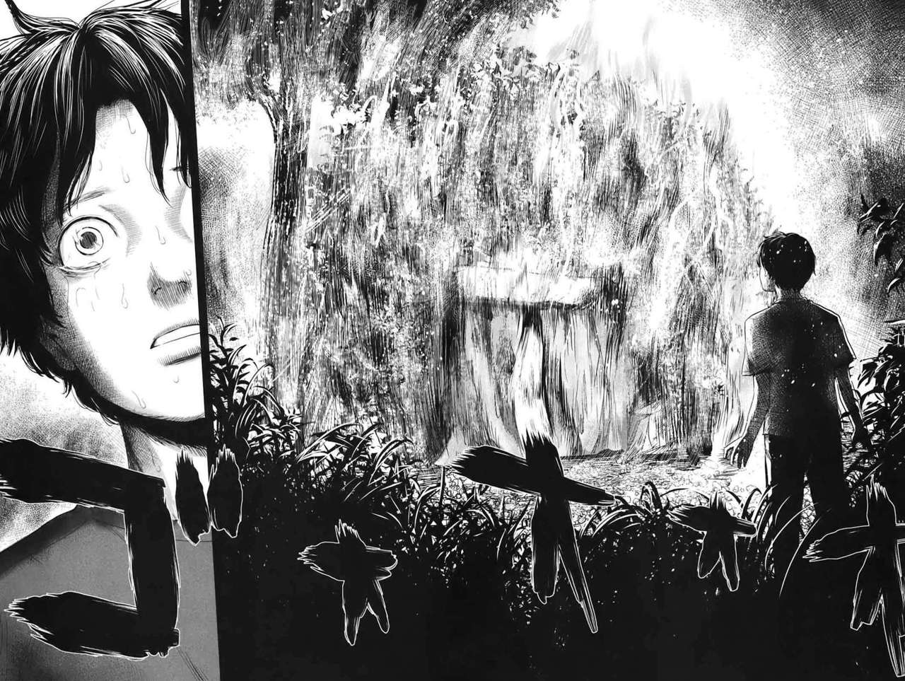Read Aku no Hana (es) Manga Online