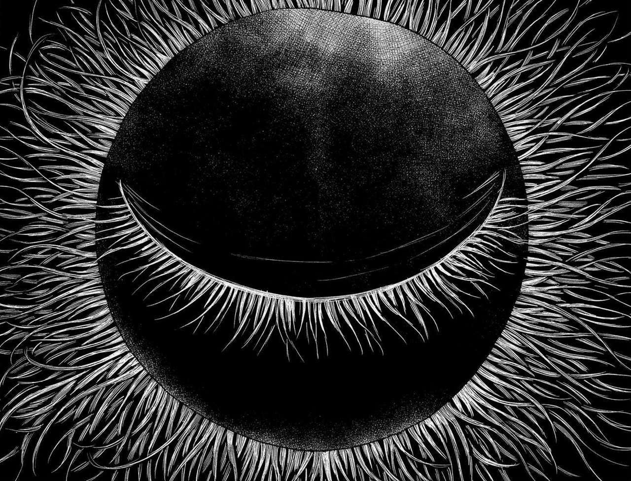 Read Aku no Hana (es) Manga Online