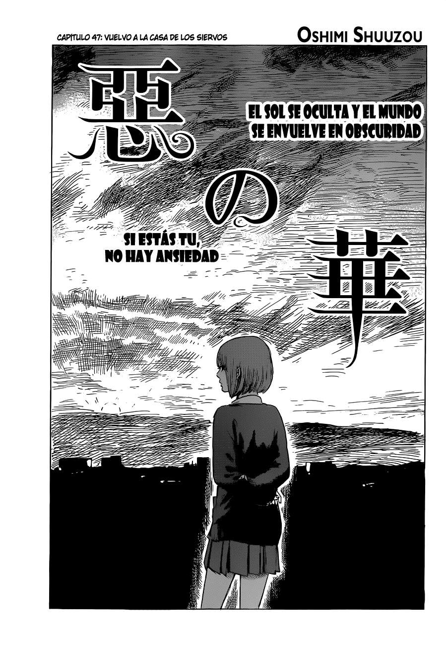 Read Aku no Hana (es) Manga Online
