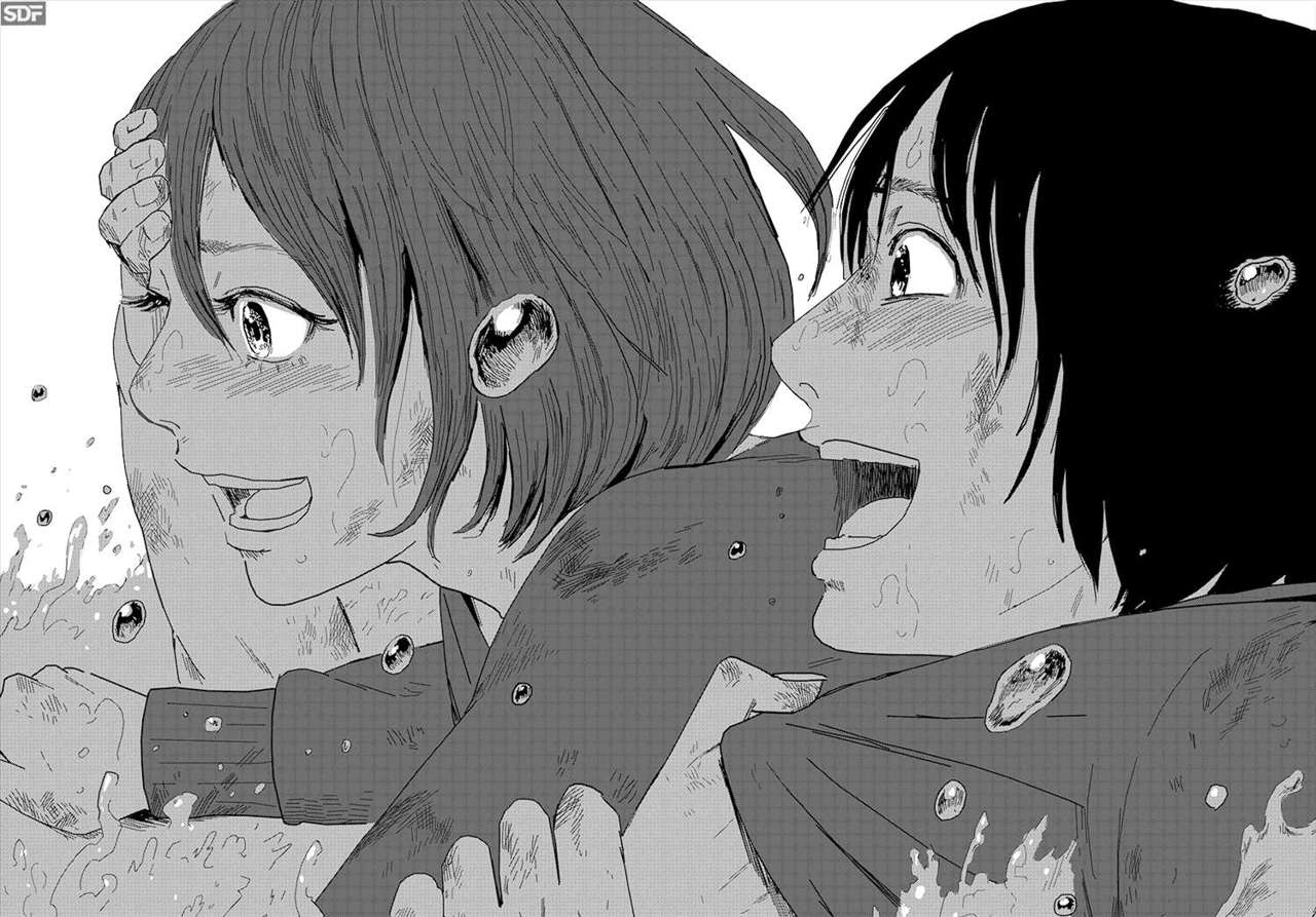 Read Aku no Hana (es) Manga Online