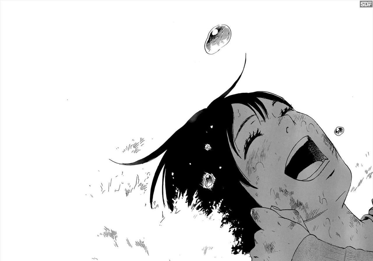 Read Aku no Hana (es) Manga Online