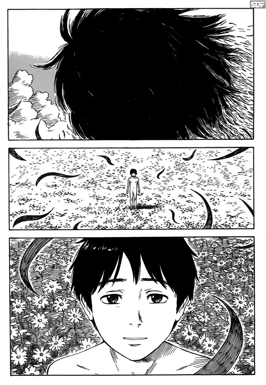 Read Aku no Hana (es) Manga Online