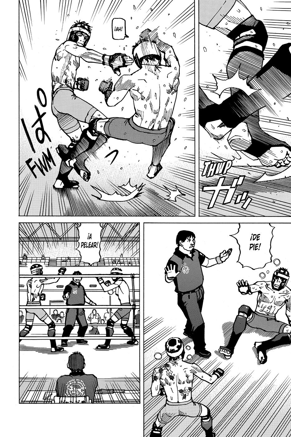 Read All Rounder Meguru (es) Manga Online