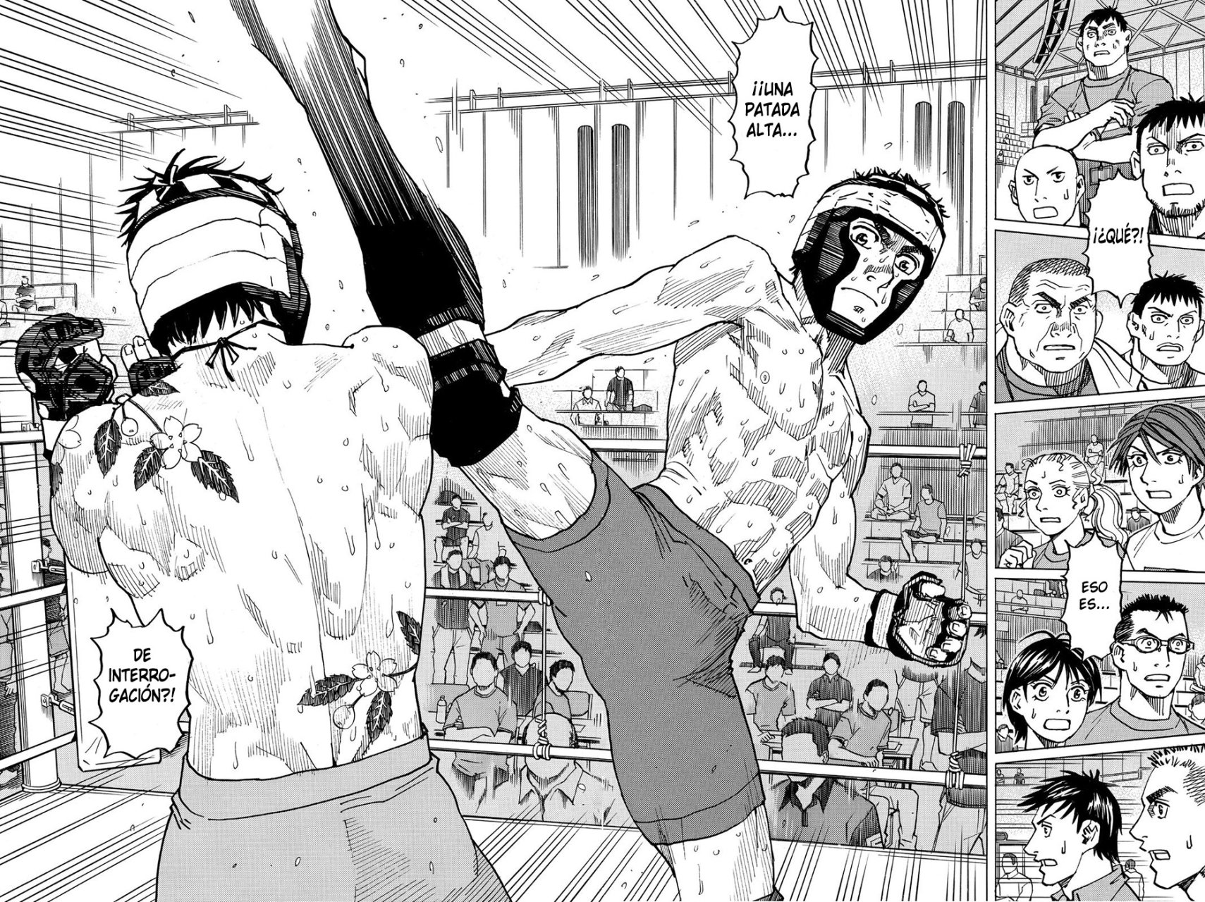 Read All Rounder Meguru (es) Manga Online