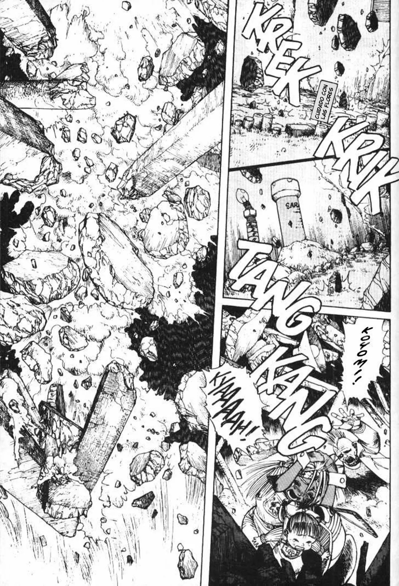 Read Battle Angel Alita (es) Manga Online