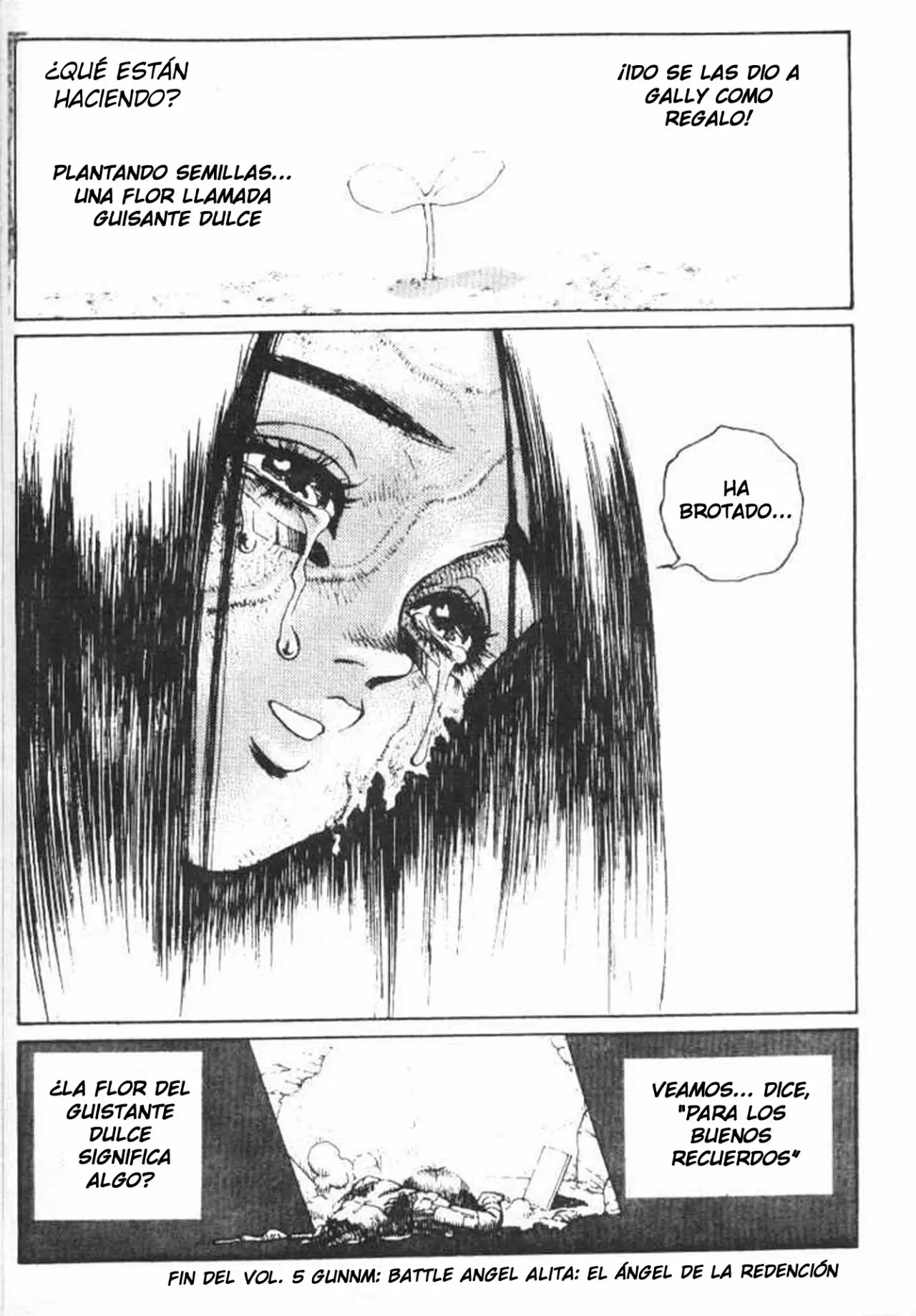 Read Battle Angel Alita (es) Manga Online