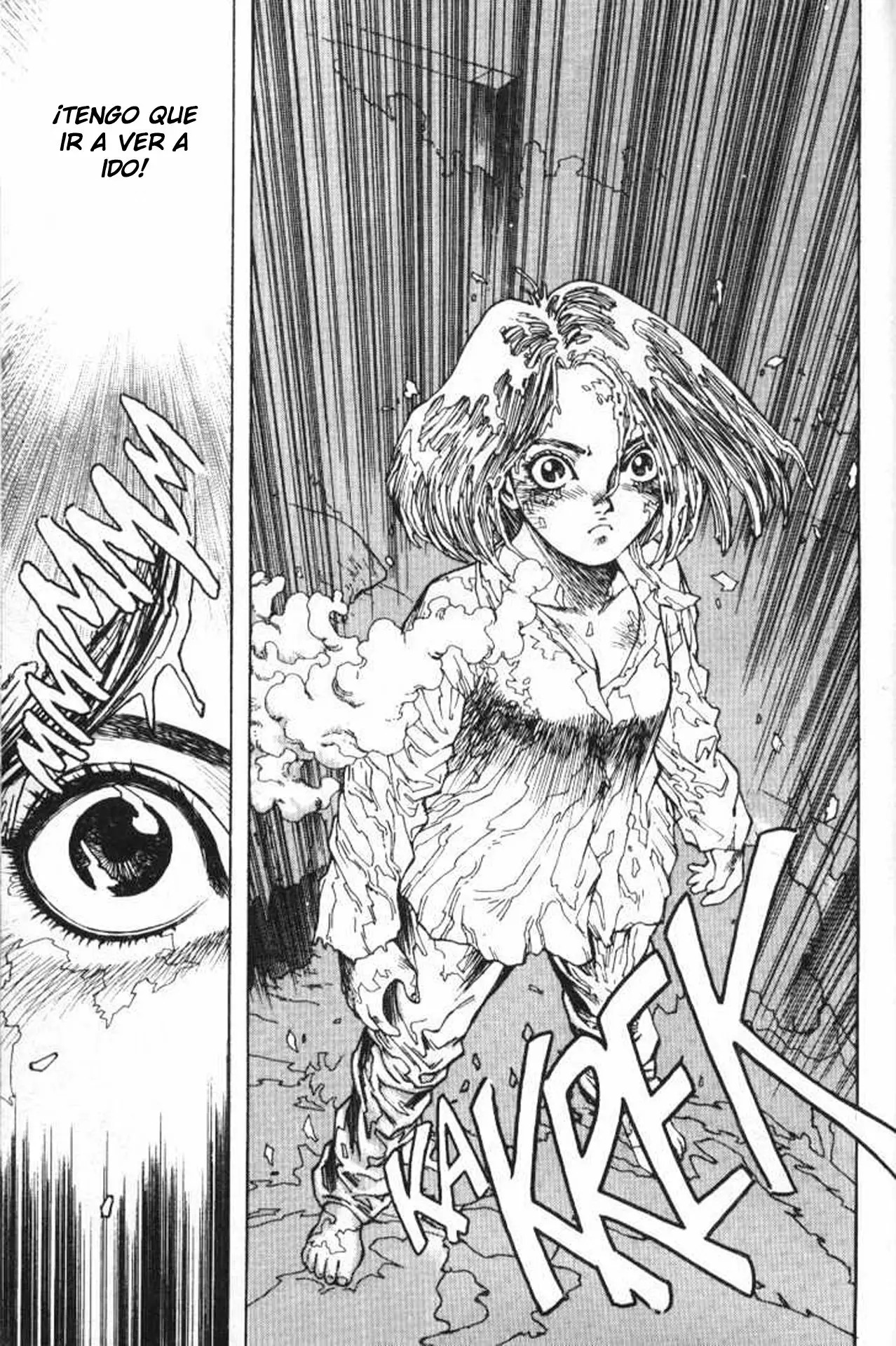 Read Battle Angel Alita (es) Manga Online