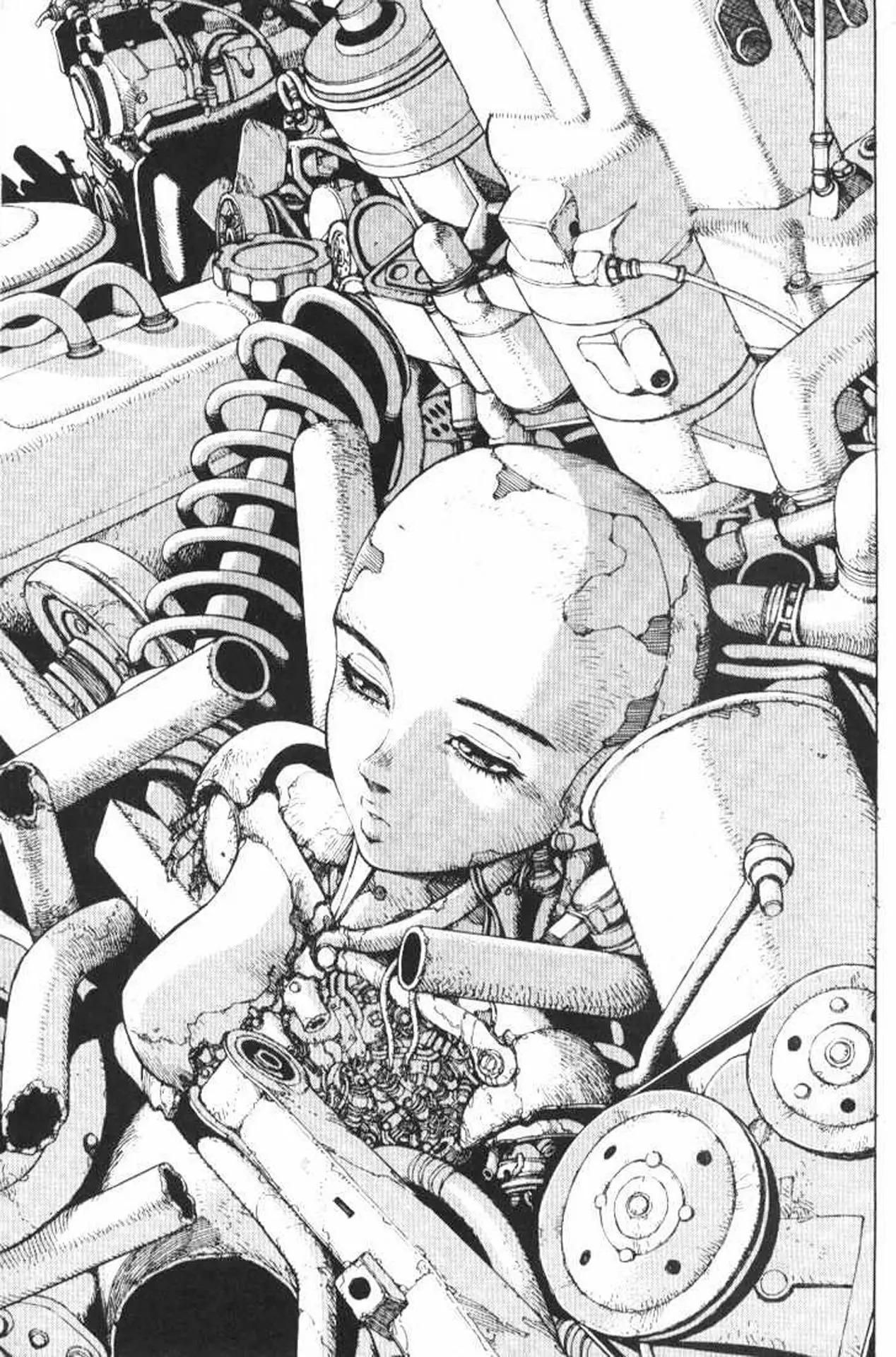 Read Battle Angel Alita (es) Manga Online