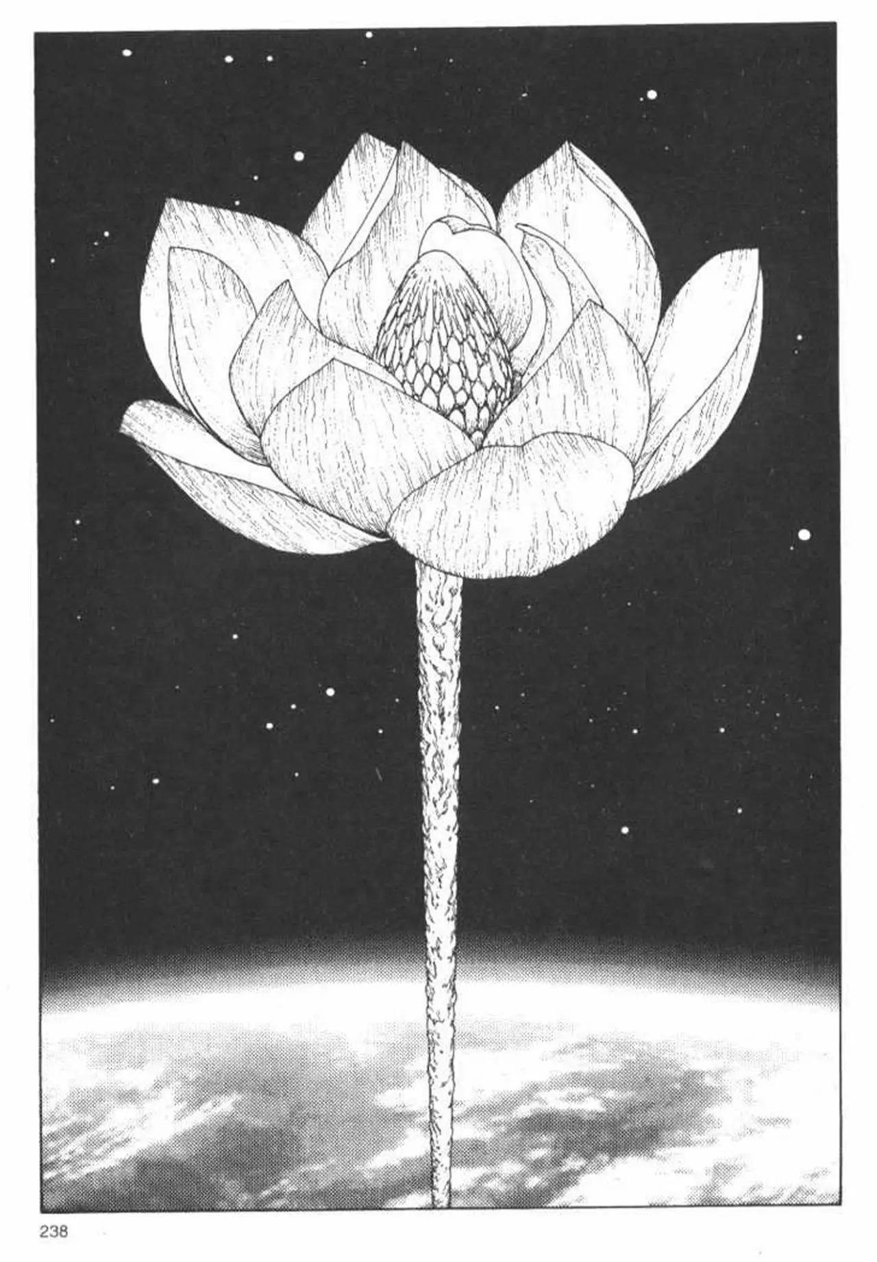 Read Battle Angel Alita (es) Manga Online