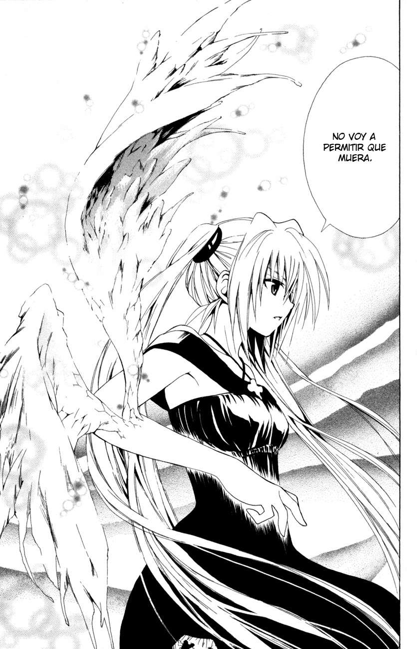Read Black Cat (es) Manga Online