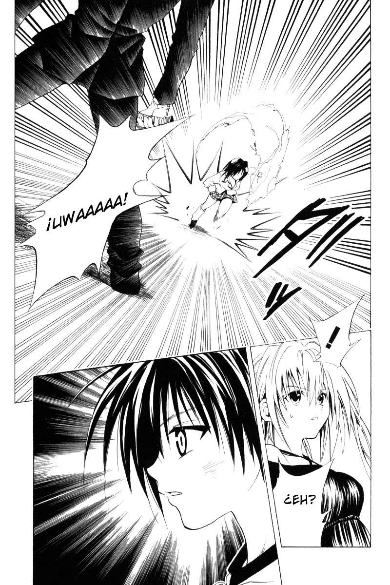 Read Black Cat (es) Manga Online