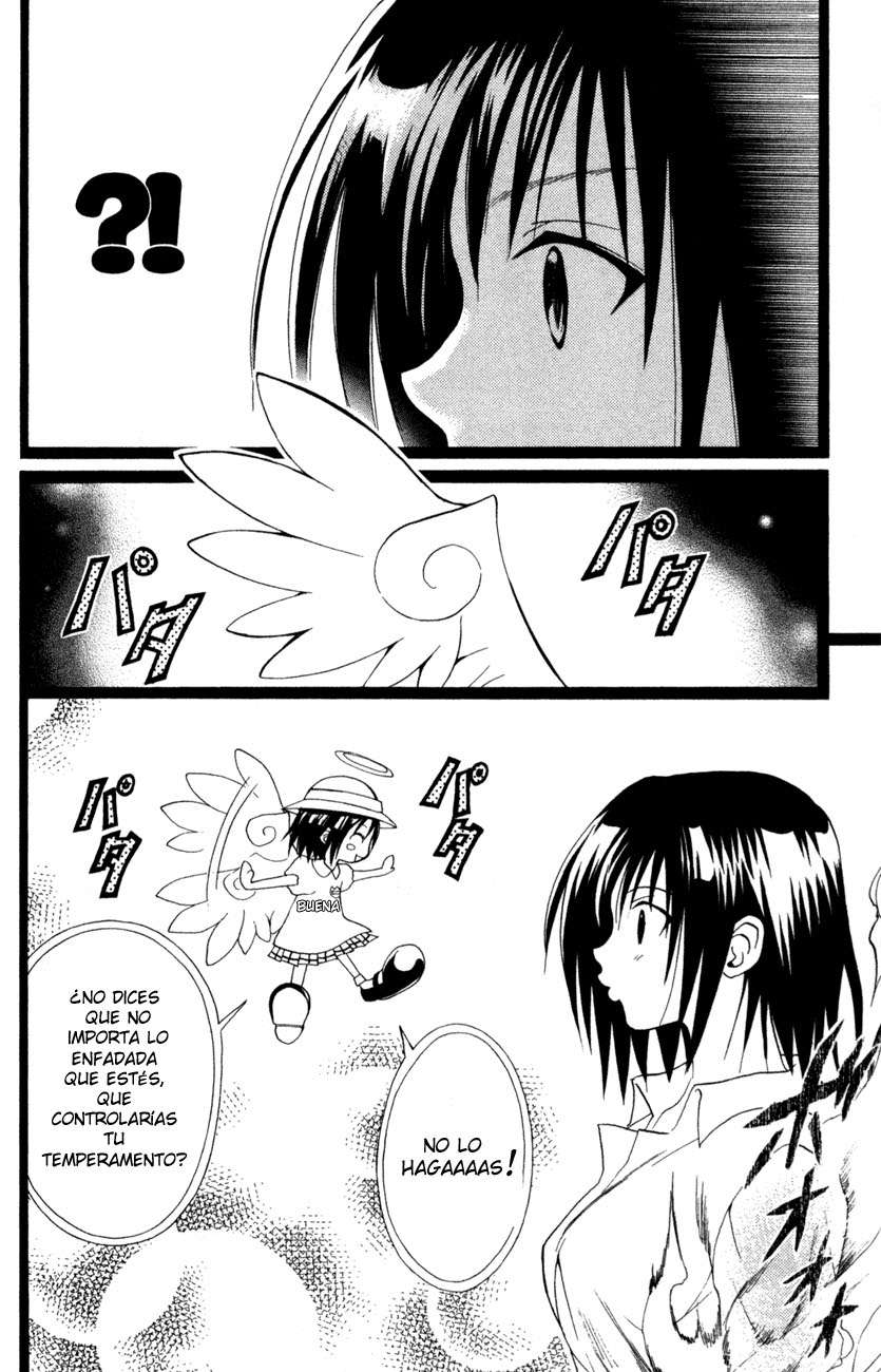 Read Black Cat (es) Manga Online