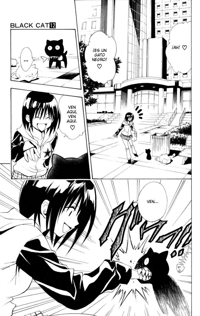 Read Black Cat (es) Manga Online