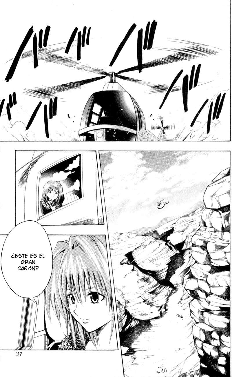 Read Black Cat (es) Manga Online