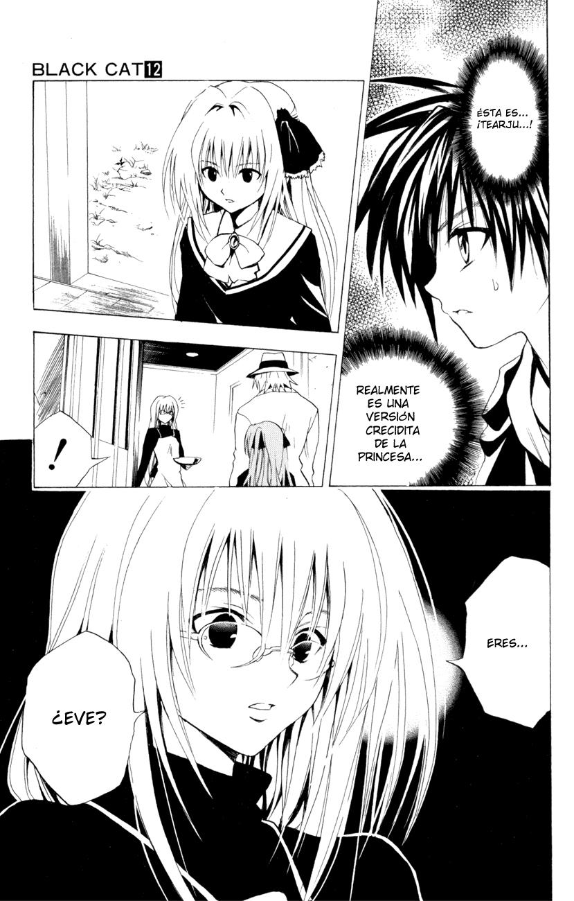 Read Black Cat (es) Manga Online