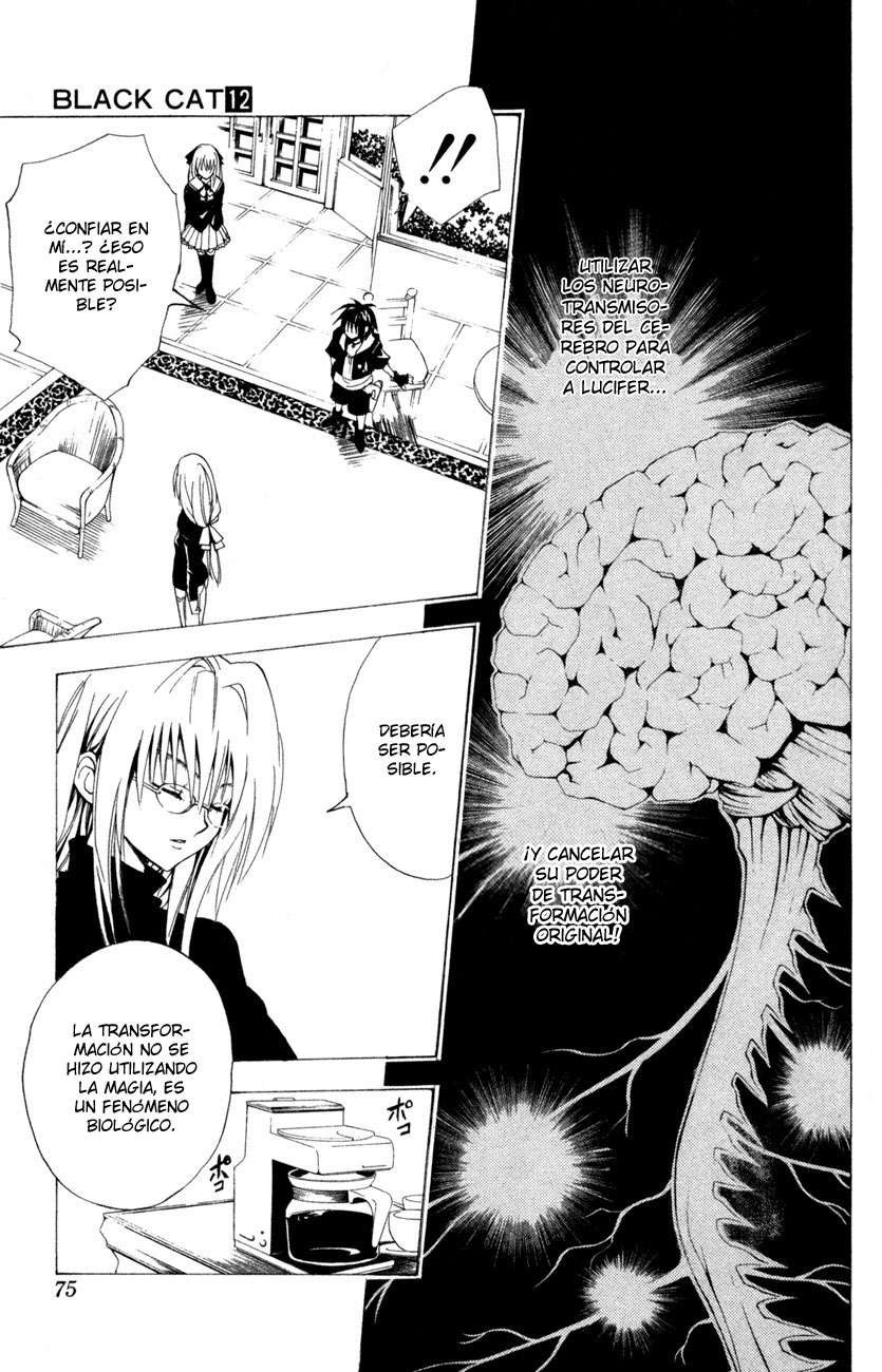 Read Black Cat (es) Manga Online