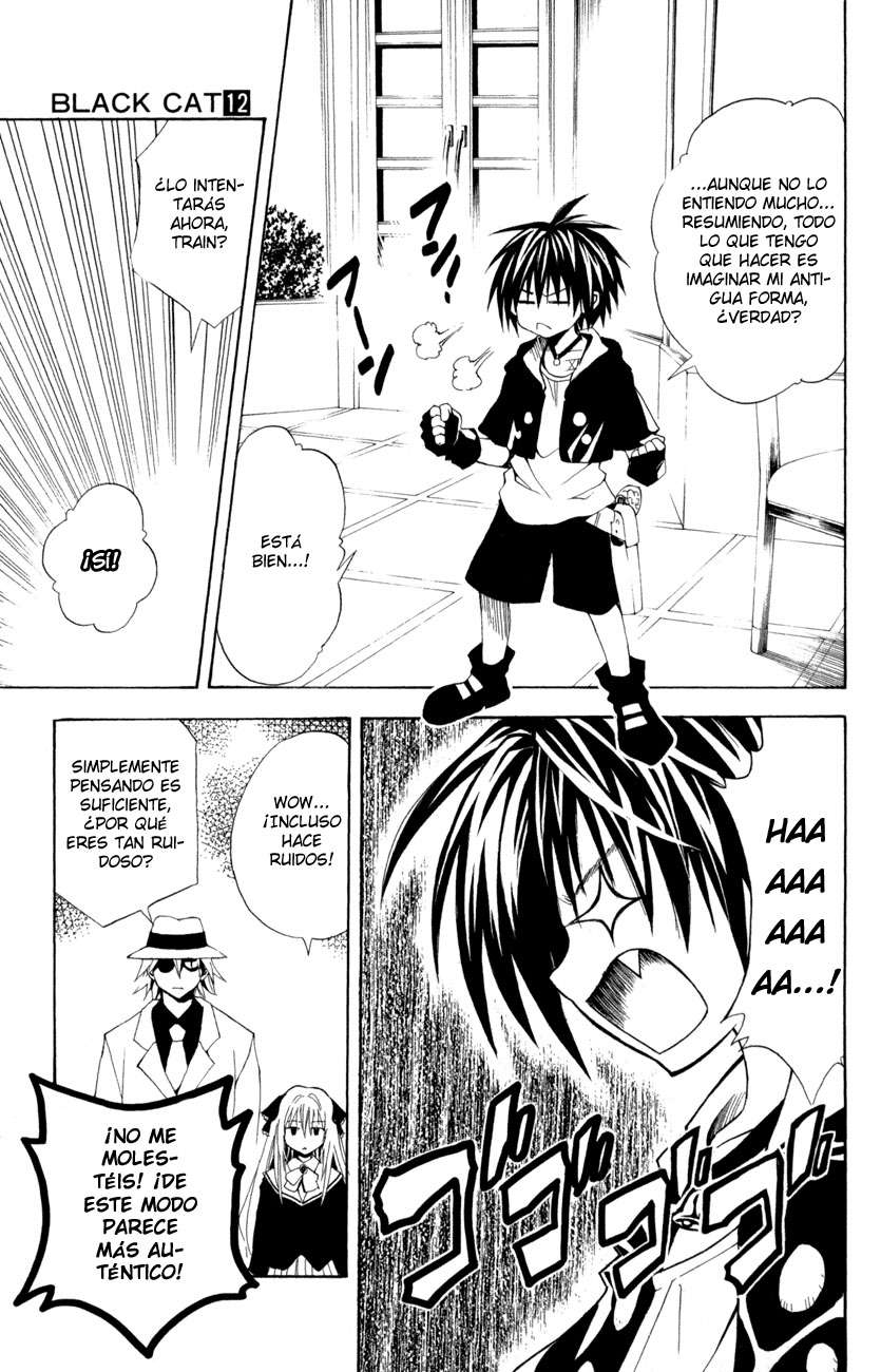 Read Black Cat (es) Manga Online