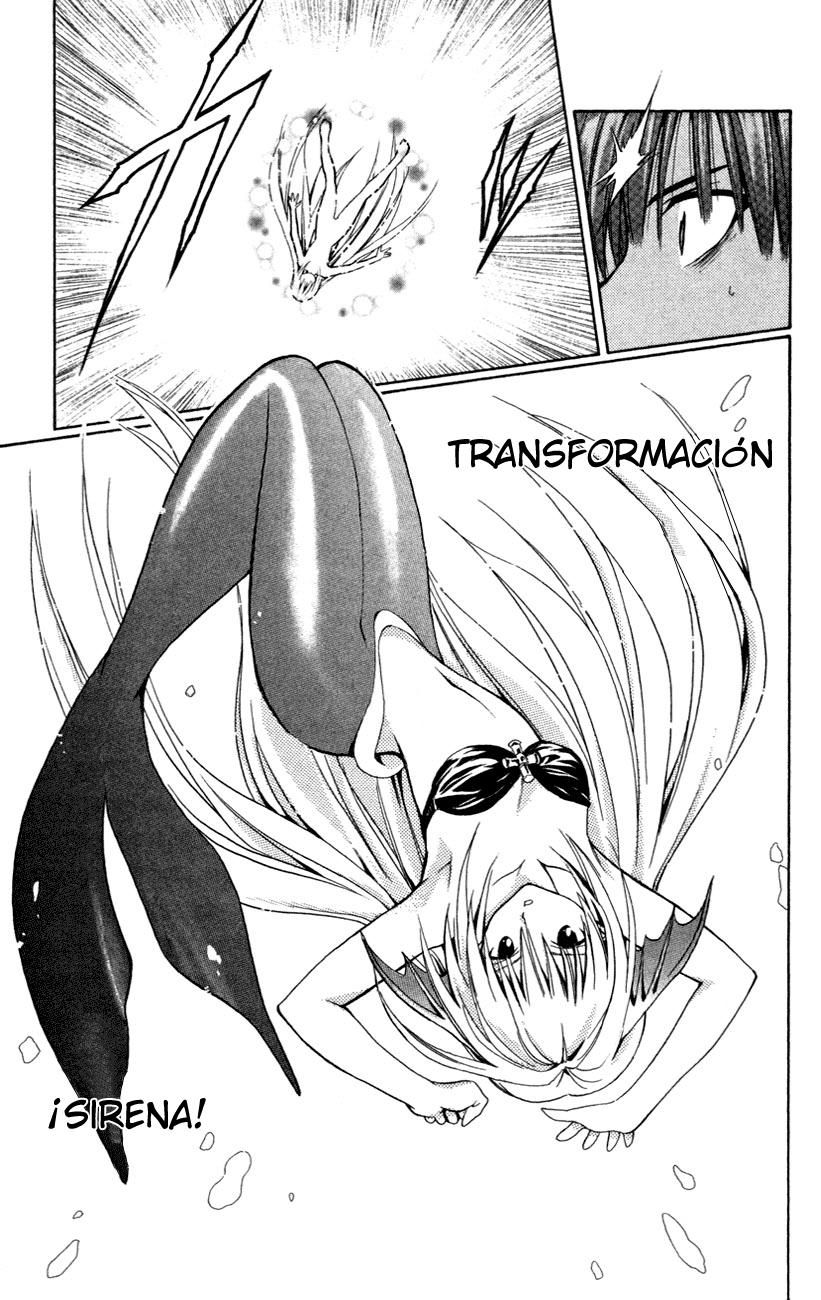 Read Black Cat (es) Manga Online