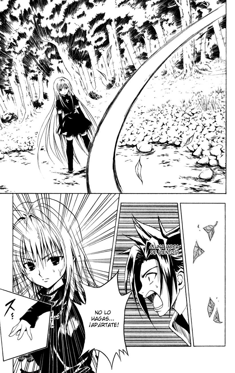 Read Black Cat (es) Manga Online