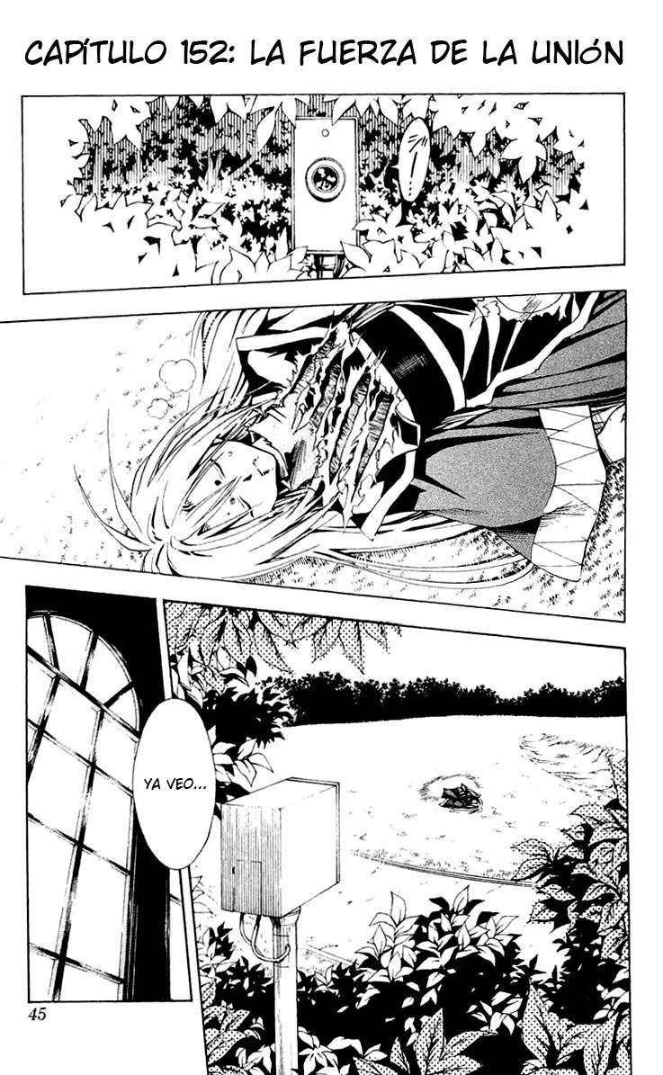 Read Black Cat (es) Manga Online