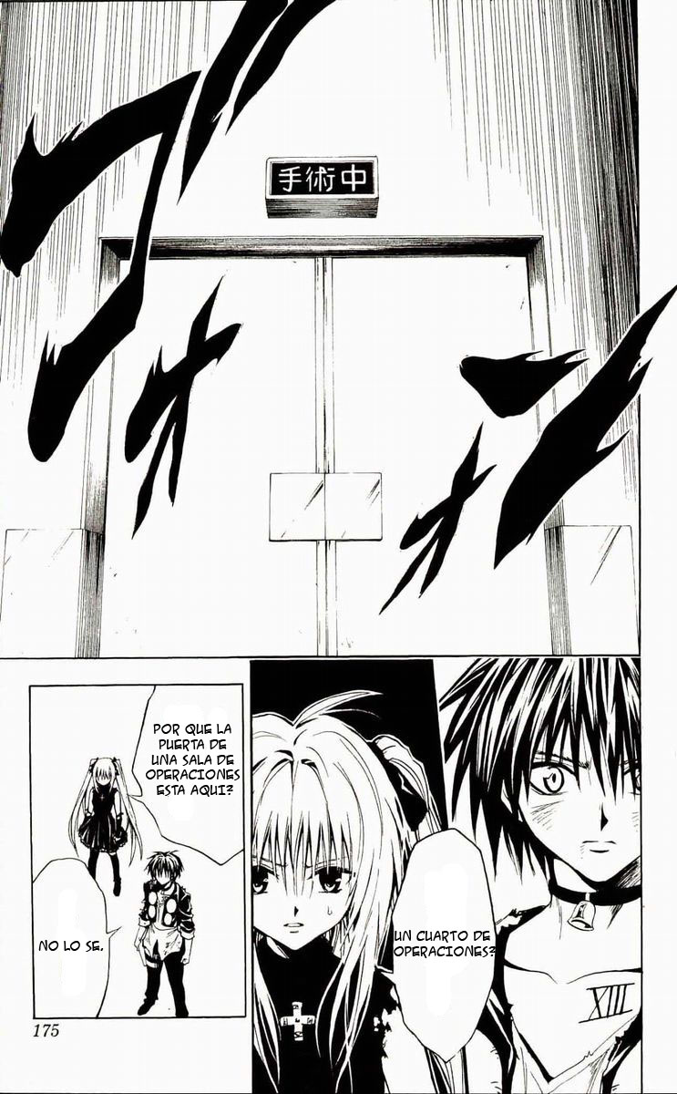 Read Black Cat (es) Manga Online