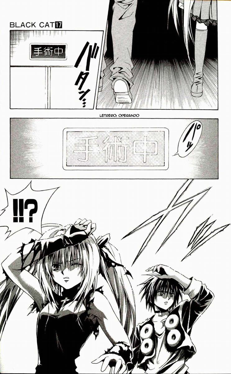 Read Black Cat (es) Manga Online