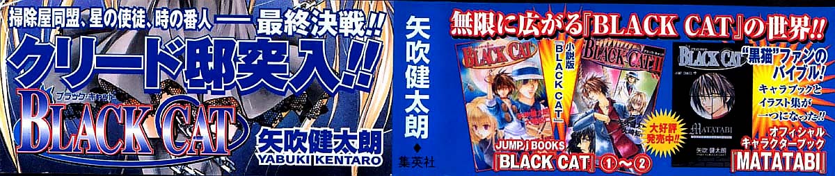 Read Black Cat (es) Manga Online