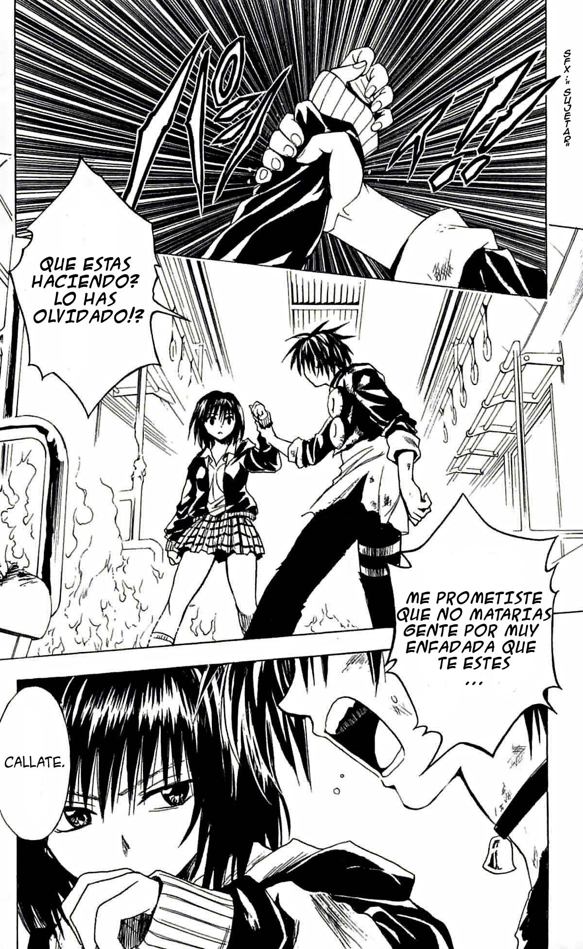 Read Black Cat (es) Manga Online