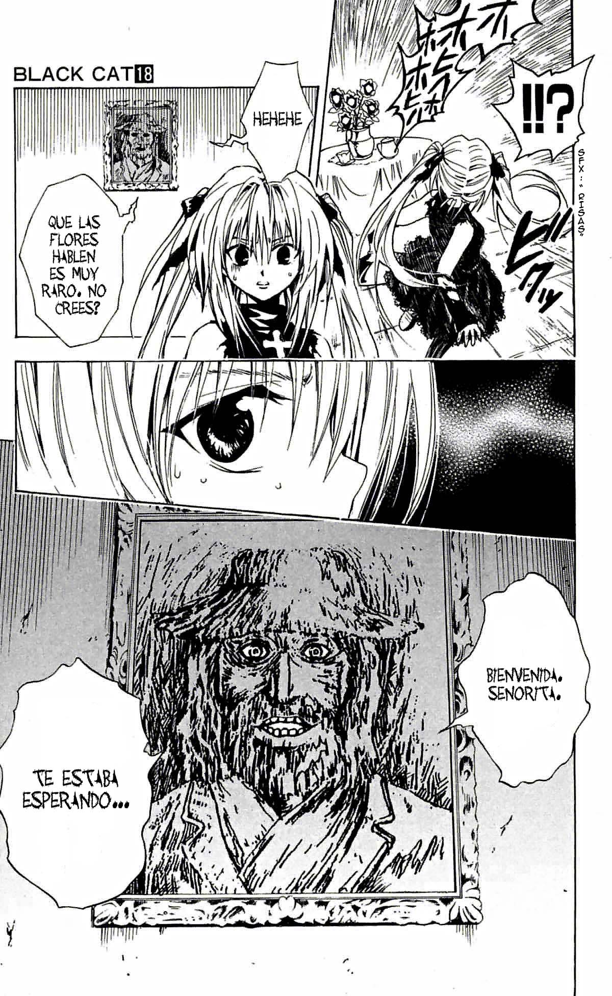 Read Black Cat (es) Manga Online